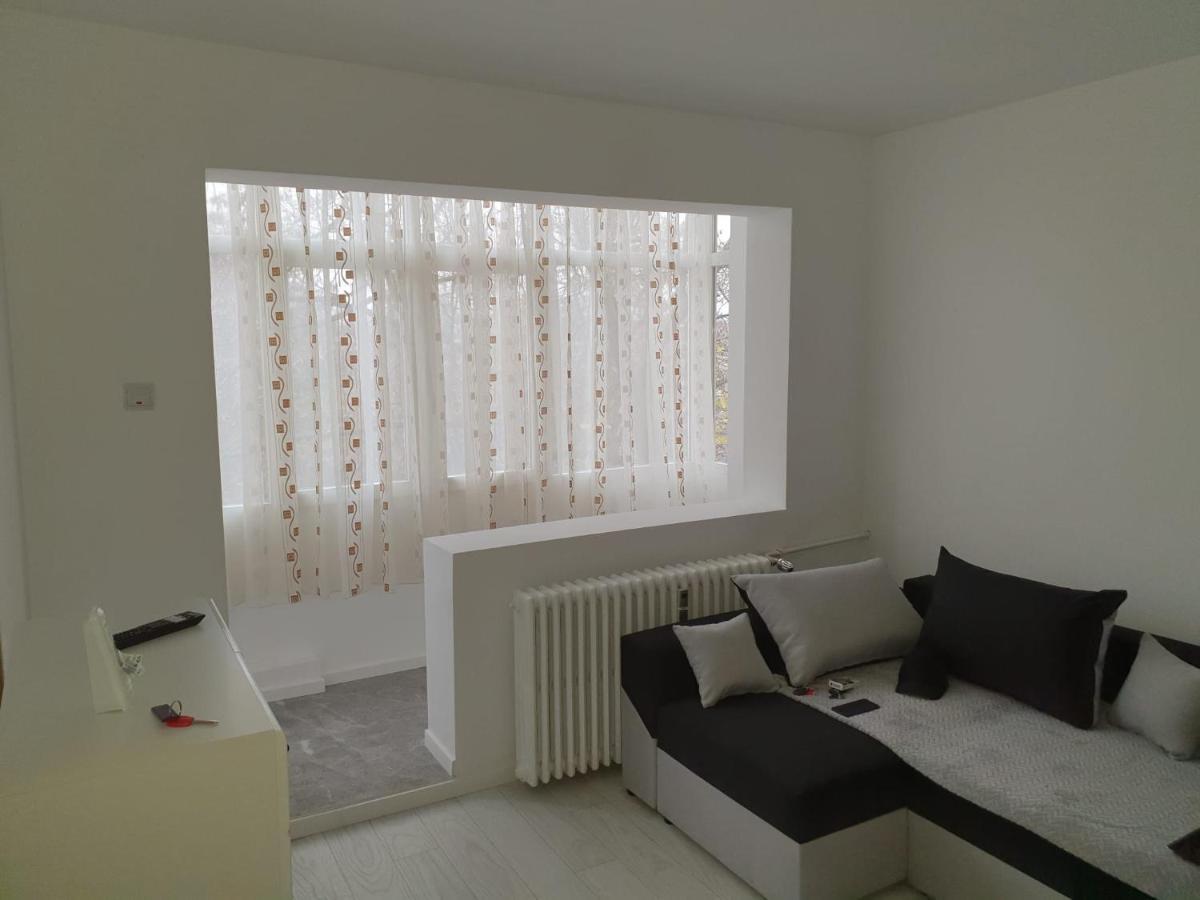 雅西Apartament公寓 外观 照片